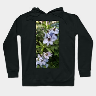 Light blue delphinium blossoms Hoodie